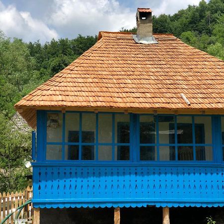 Băile Olăneşti Casa Albastra 빌라 외부 사진
