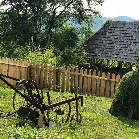 Băile Olăneşti Casa Albastra 빌라 외부 사진