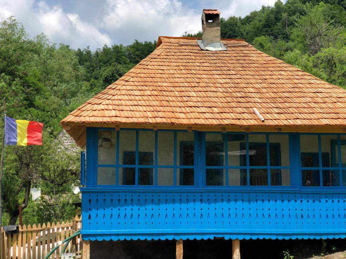 Băile Olăneşti Casa Albastra 빌라 외부 사진