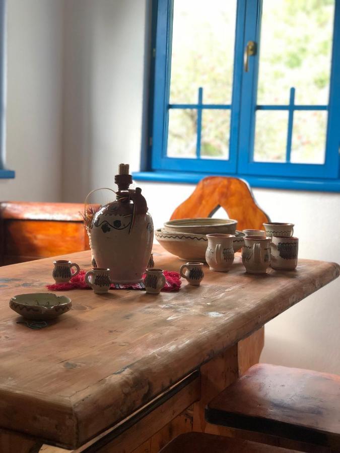 Băile Olăneşti Casa Albastra 빌라 외부 사진