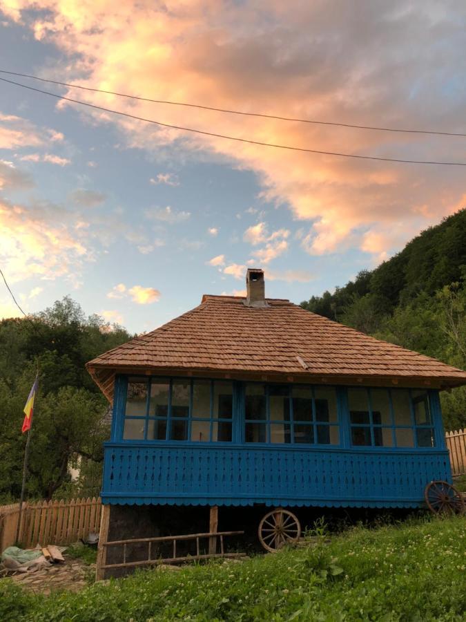 Băile Olăneşti Casa Albastra 빌라 외부 사진