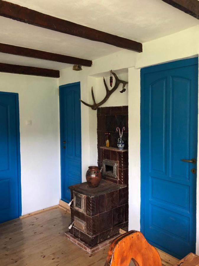 Băile Olăneşti Casa Albastra 빌라 외부 사진