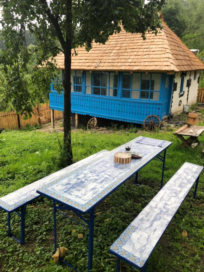 Băile Olăneşti Casa Albastra 빌라 외부 사진