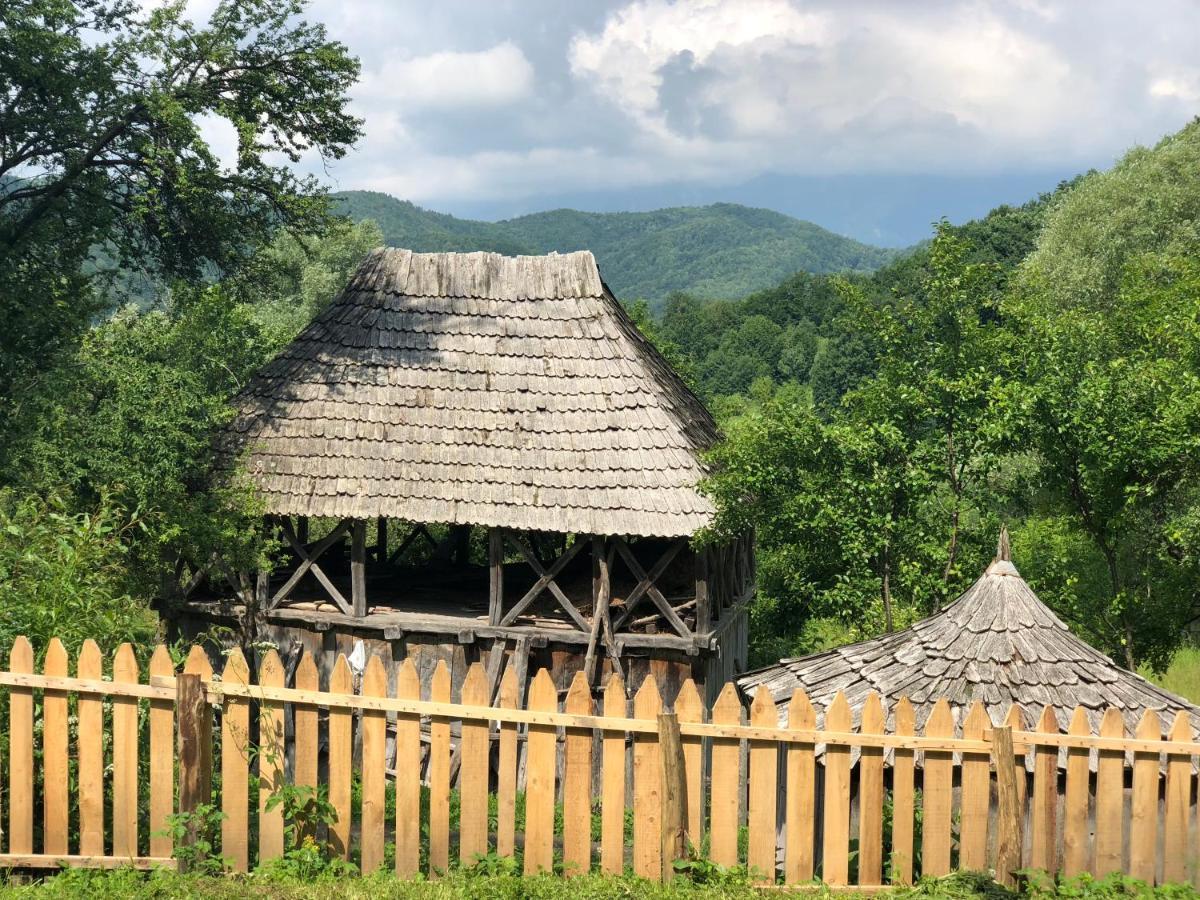 Băile Olăneşti Casa Albastra 빌라 외부 사진