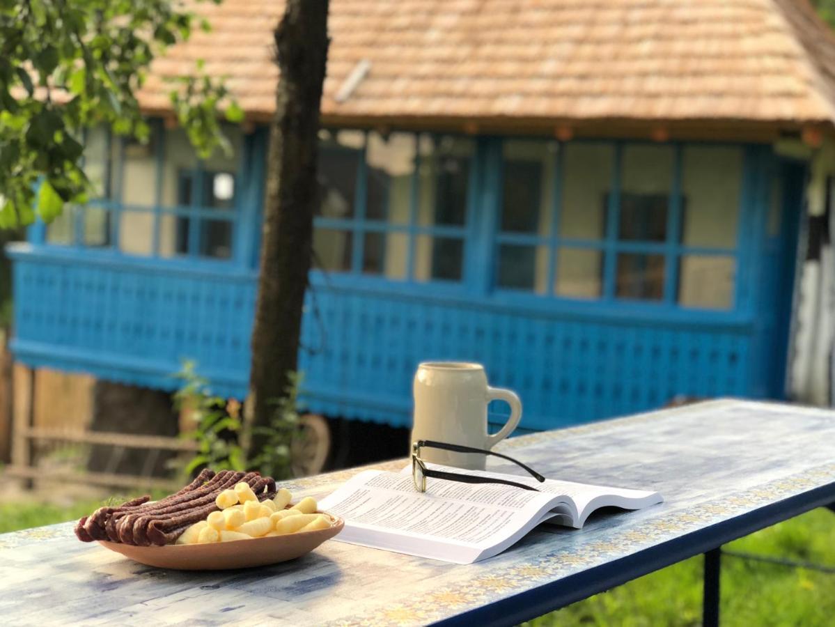 Băile Olăneşti Casa Albastra 빌라 외부 사진