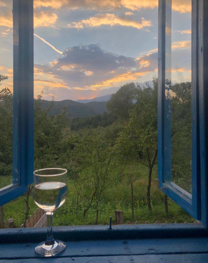 Băile Olăneşti Casa Albastra 빌라 외부 사진