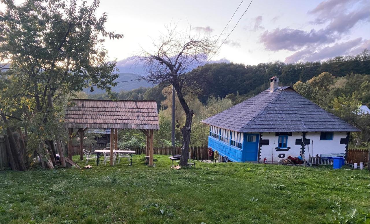 Băile Olăneşti Casa Albastra 빌라 외부 사진